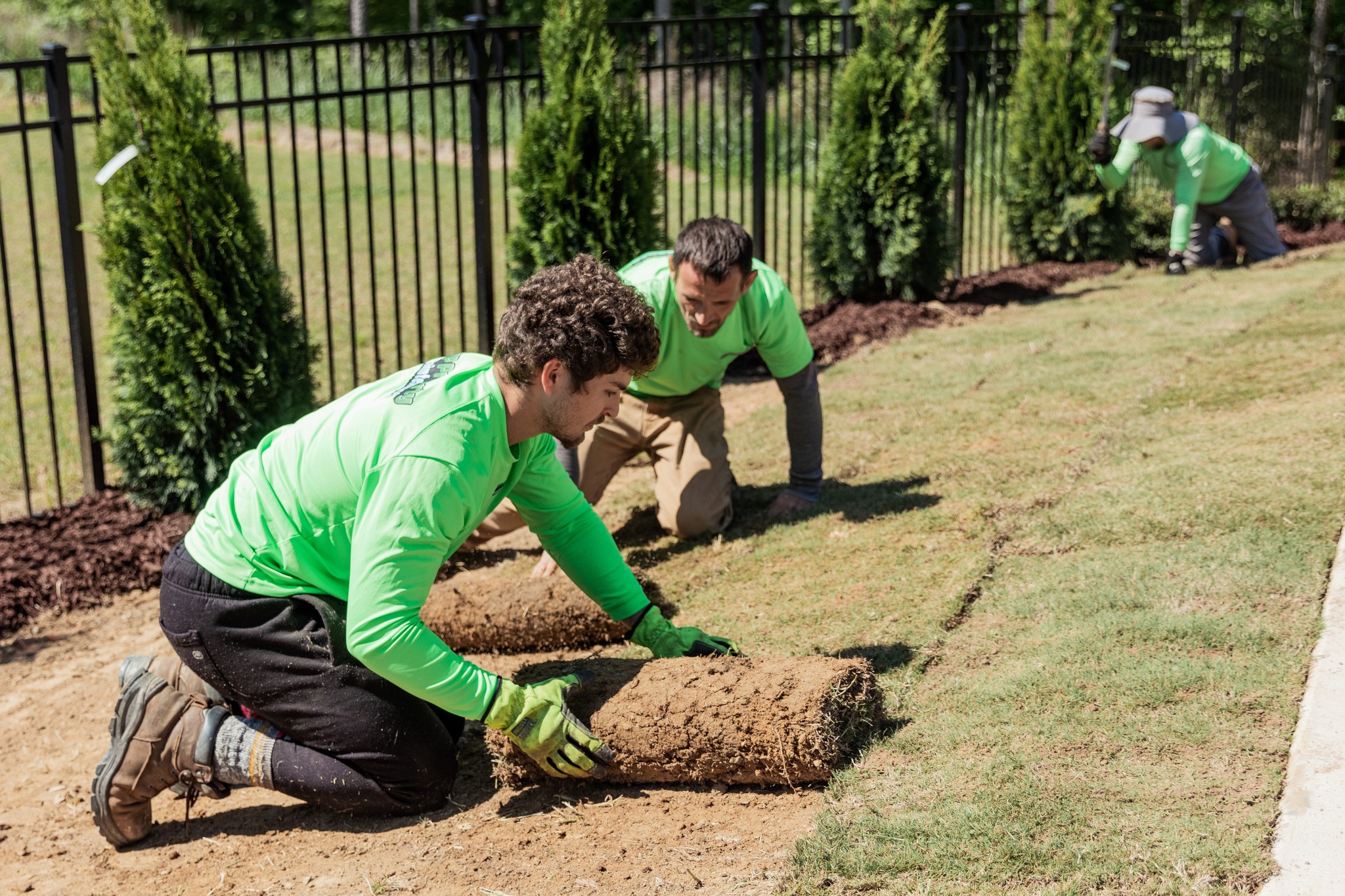 Essential Lawn Care Tips to Maintain a Healthy and Vibrant Yard in Huntersville and Davidson