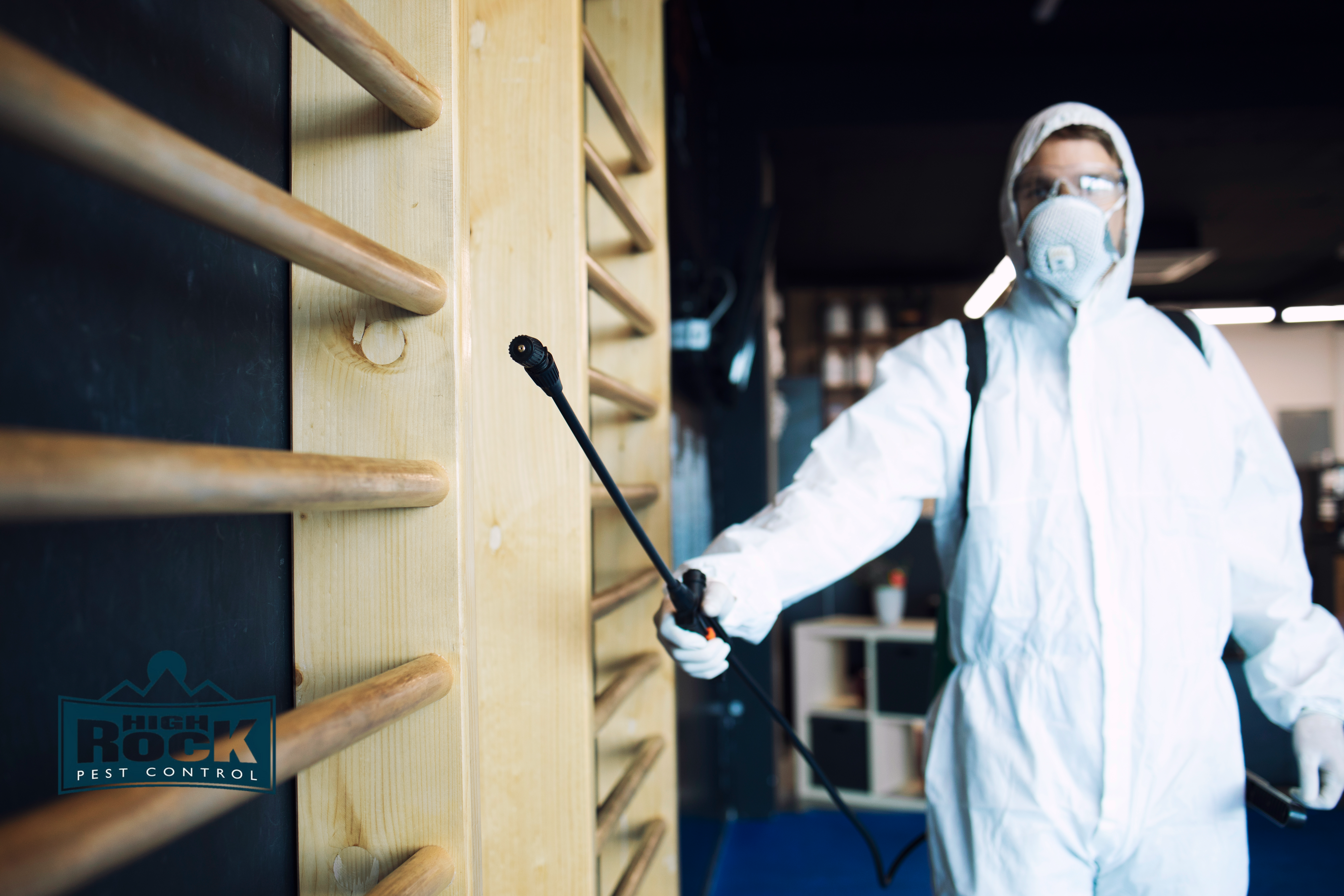 Top 5 Signs You Need a Bed Bug Exterminator